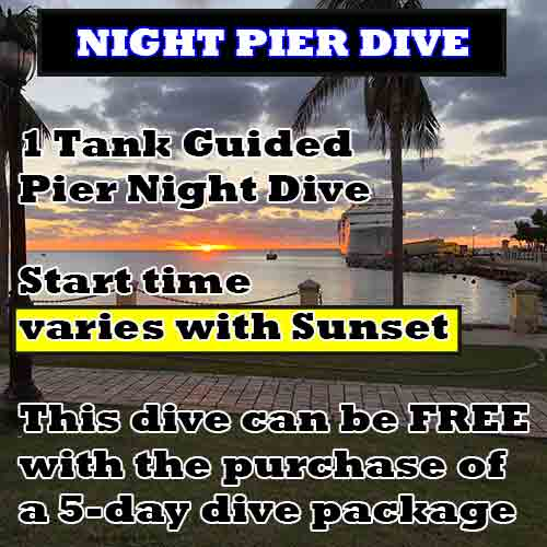 Night Dive Pier